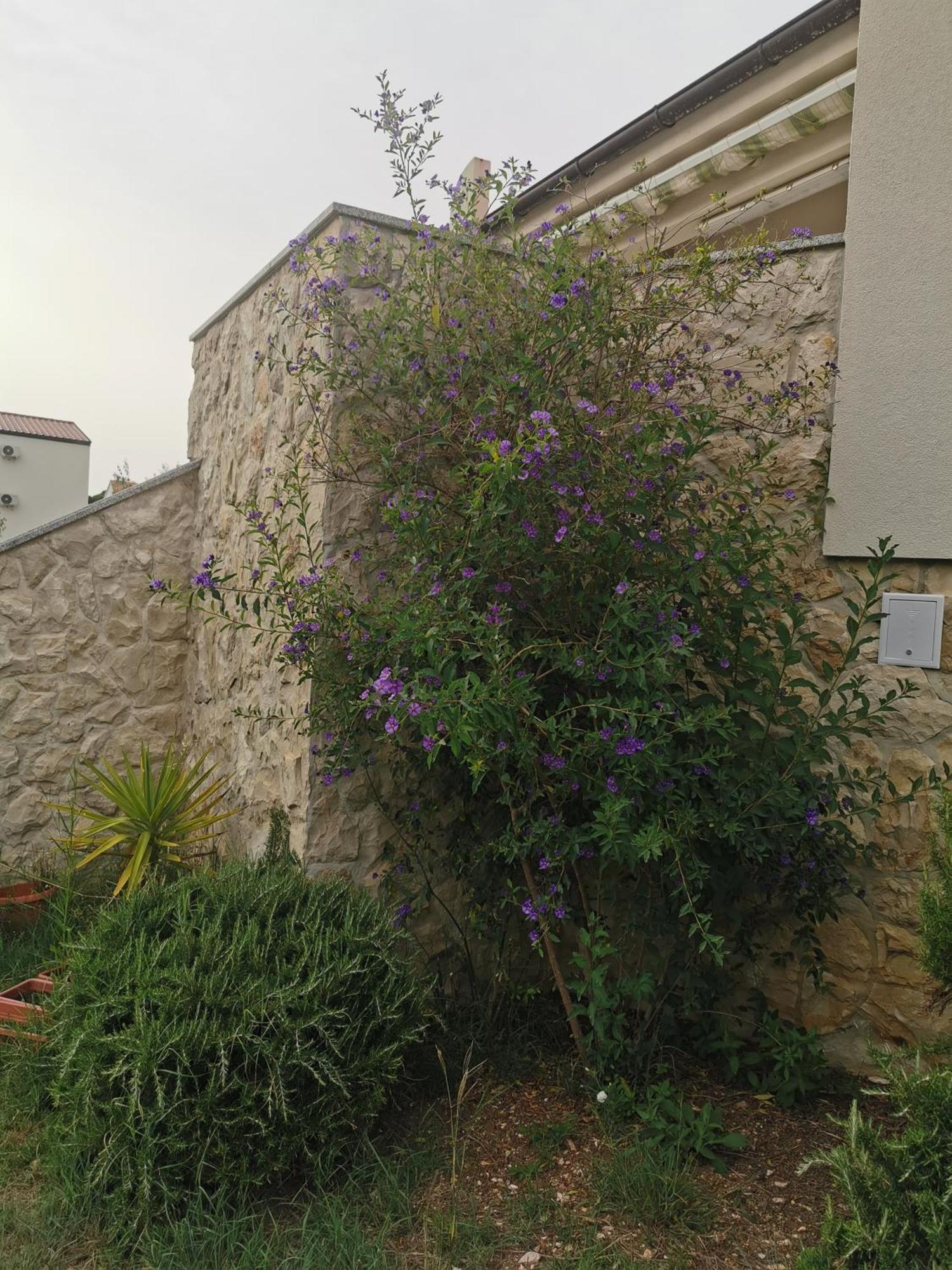 Apartments Riva Povljana Exterior photo
